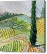 Tuscan Cypress Tree Landscape Canvas Print