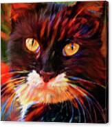 Tuxedo Cat Art Canvas Print