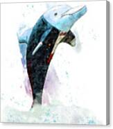 Tuxedo Dolphin Canvas Print