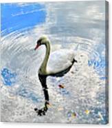 Twin Lakes Swan 3 Canvas Print