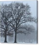 Twin Trees In The Fog Canvas Print