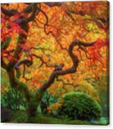 Twisted Autumn Canvas Print