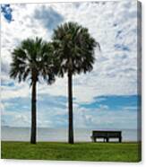 Two Palms On Pensacola Bay Canvas Print