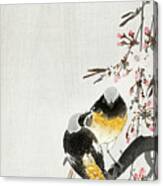 Two Sable Red Tails With Cherry Blossom Canvas Print