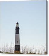 Tybee Island Lighthouse On Dunes Canvas Print