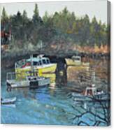 Unpredictable Birch Harbor Canvas Print