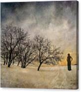 Sunset On A Winters Night Canvas Print