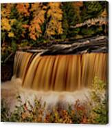 Upper Tahquamenon Falls In Autumn Canvas Print