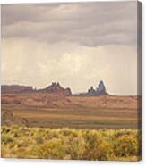 Usa, Arizona, Church Rock, Near Kayenta, Rock Formations And Wild Flowers Canvas Print