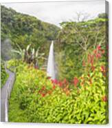 Usa, Hawaii, Big Island, Akaka Falls State Park, Akaka Falls And Kolekole Stream Canvas Print
