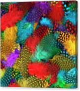 Various Color Feather Background Canvas Print