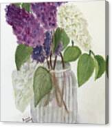 Vase Of Lilacs Canvas Print