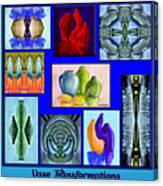 Vase Transformations - Collage Canvas Print