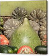 Vegetable Harvest Canvas Print