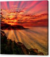Vibrant Acadia Sunrise Canvas Print