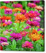 Vibrant Beauty In The Garden Canvas Print