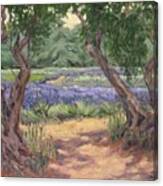 View From The Olive Grove Canvas Print