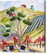 View From The Patio At Gershon Bachus Vintners Canvas Print