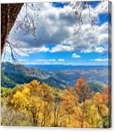 View Through The Trees Canvas Print