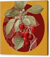 Vintage Botanical Cherry On Circle Red On Yellow Canvas Print