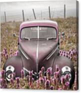 Vintage Ford In Pinks Canvas Print