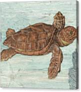 Vintage Sea Turtle Blue Coral Starfish Rustic Weathered Wood Canvas Print