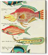Vintage, Whimsical Fish And Marine Life Illustration By Louis Renard - Blauwe Staar, Le Trompeur Canvas Print