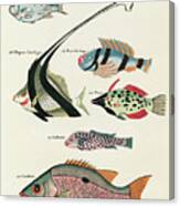 Vintage, Whimsical Fish and Marine Life Illustration by Louis Renard ...