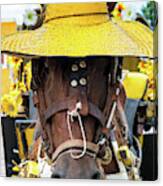 Viva Mexico Collection - Horse Izamal Yellow City Canvas Print