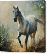 W1412 Horse Canvas Print