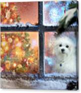 Waiting For Father Christmas Canvas Print