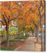 Walking Under The Red Trees Canvas Print