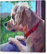 Watch Dog Canvas Print