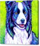 Watchful Eye - Colorful Border Collie Dog Canvas Print