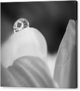 Water Drop Refraction Bw Bw Canvas Print