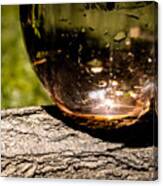 Water Glass On A Log Canvas Print