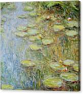 Water Lilies Nr E.008 Canvas Print