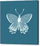 Watercolor Butterfly In Teal Blue Sky Xvii Canvas Print