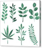 Watercolor Green Branches With Leaves Canvas Print