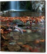 Waterfall And River Flowing With Maple Leaves On The Rocks On The River In Autumn Canvas Print