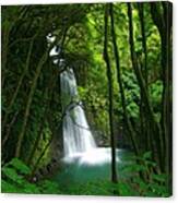 Waterfall In The Azores Canvas Print