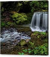 Waterfall In The Glen Panorama Canvas Print