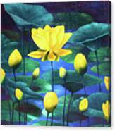 Waterlilies Canvas Print