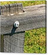 Weathered Fence Canvas Print