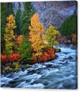 Wenatchee Autumn Flow Canvas Print