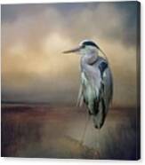 Wetland Heron Canvas Print