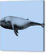 Whale Artwork Canvas Print