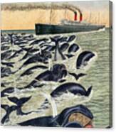 Whale Pod Attacking Ship, 1913 Canvas Print