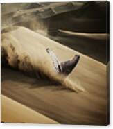 Whale - Series 1. Canvas Print