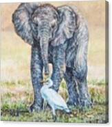 What Elephant? Canvas Print